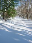 Access road in the snow, Unexpected Wildlife Refuge photo