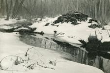 Beaver lodge in snow, photo by Hope Sawyer Buyukmihci, Refuge cofounder