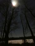 Main pond, frozen, with moon and stars, Unexpected Wildlife Refuge photo