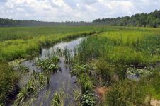 Miller pond in 2010, Unexpected Wildlife Refuge photo