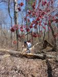 Volunteer Jacob Safier clearing trail, Unexpected Wildlife Refuge photo