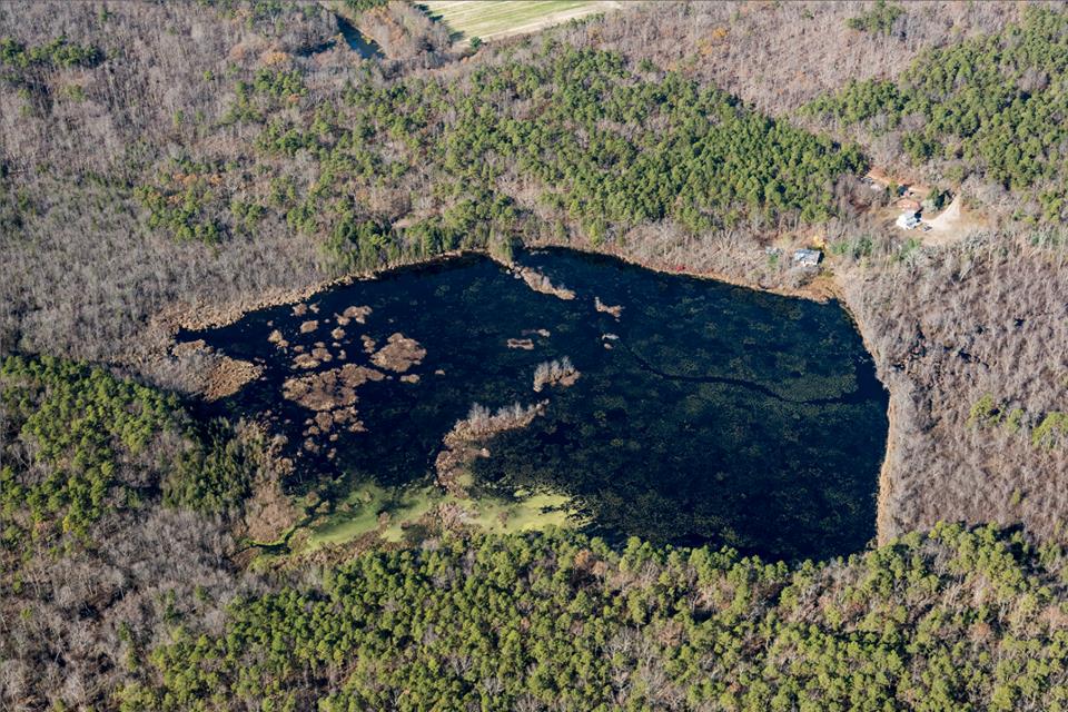 Unexpected Wildlife Refuge main pond from the air, courtesy Cliff Compton