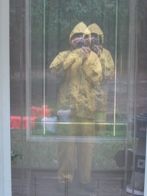 , Unexpected Wildlife Refuge photo