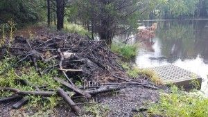 Micromediapubs.com photo