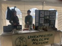 ACUA Earth Day Festival, Unexpected Wildlife Refuge photo