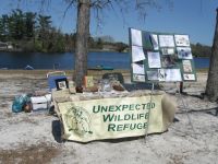 Folsom Green Day, Unexpected Wildlife Refuge photo
