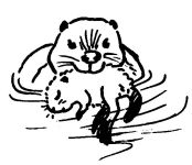 Mum and baby beaver, sketch by Hope Sawyer Buyukmihci, Refuge co-founder and artist