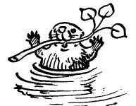 Young beaver with branch, sketch by Hope Sawyer Buyukmihci, Refuge co-founder and artist