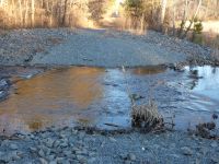 Beaver in Miller Pond, Unexpected Wildlife Refuge photo