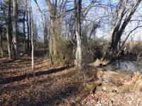 Boundary trail near stations 18/19, Unexpected Wildlife Refuge photo