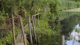 Bridge over main pond dike, photo by Jeremy Amsterdam