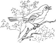 Drawing of chat by Edmund J Sawyer