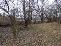 Station 20, Unexpected Wildlife Refuge photo