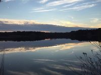 Main pond, courtesy Kendall Berry