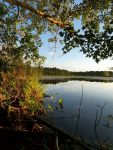 View of main pond from beaver dam, Unexpected Wildlife Refuge photo
