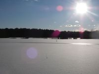 Main pond with frozen surface, snow, paw prints and lens flare, Unexpected Wildlife Refuge photo