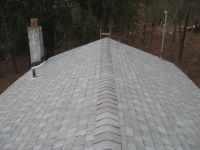 Miller House Repaired Roof, Unexpected Wildlife Refuge photo