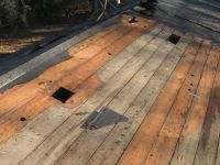 Miller House Roof During Repair, Unexpected Wildlife Refuge photo