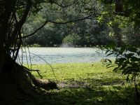 Muddy Bog, Unexpected Wildlife Refuge photo