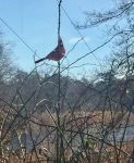 Northern cardinal, Unexpected Wildlife Refuge photo