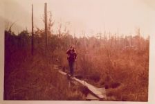 One of the boardwalks in 1971, by Nancy Jonap