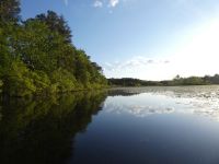 Main pond in spring, Unexpected Wildlife Refuge photo