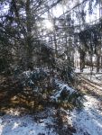 Trail near Station 14, Unexpected Wildlife Refuge photo